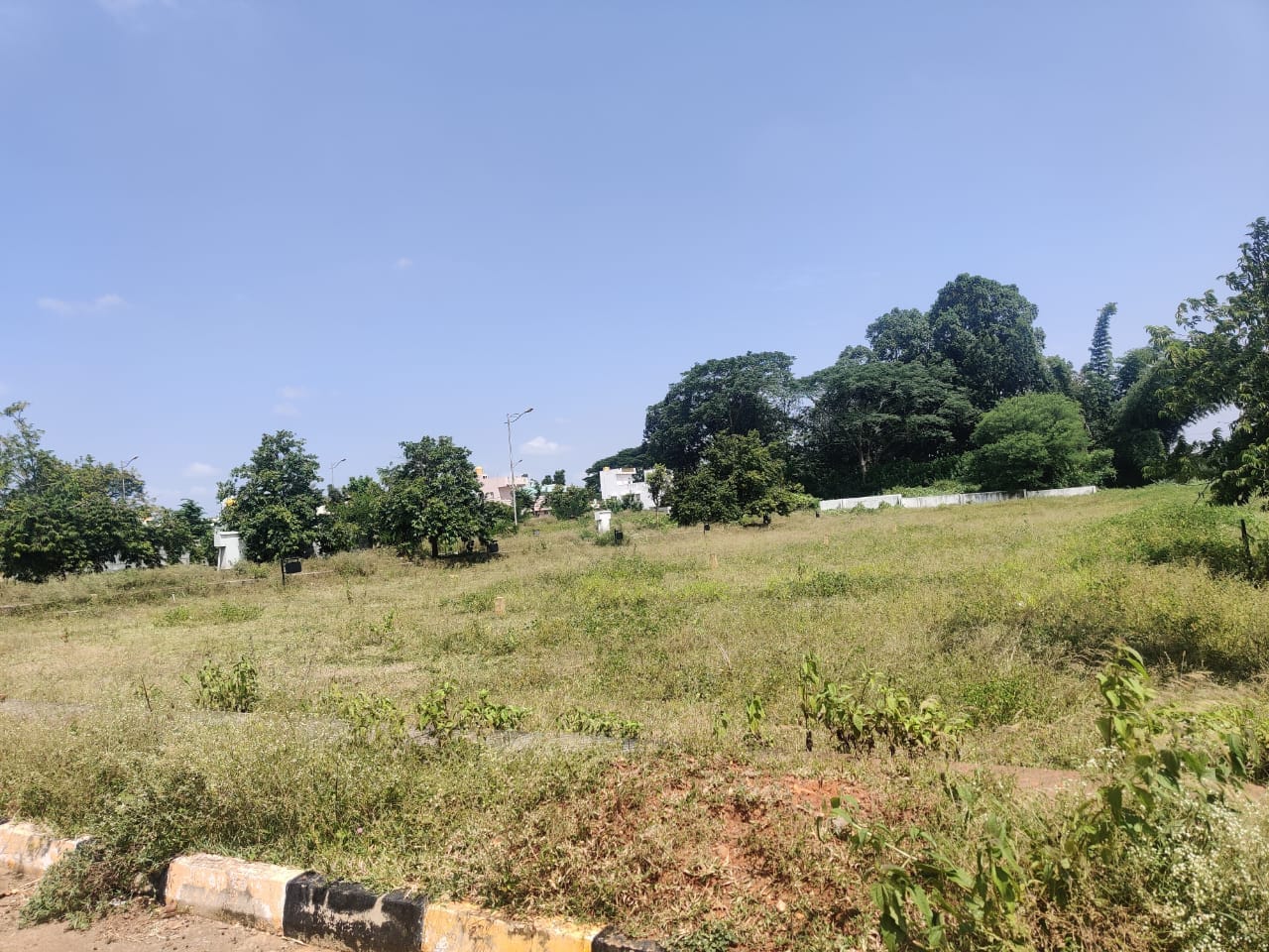 WhatsApp Image 2024-10-10 at 13.17.28 (1)